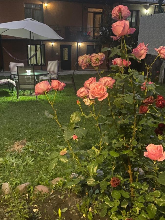 Hotel Elegant Stepancminda Zewnętrze zdjęcie
