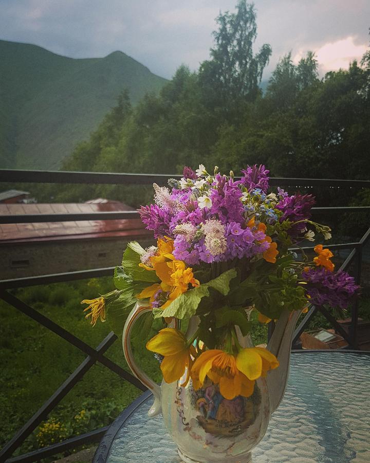 Hotel Elegant Stepancminda Zewnętrze zdjęcie